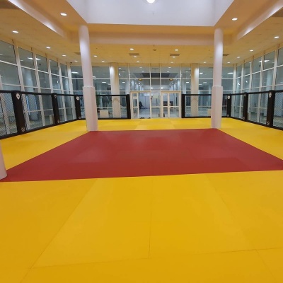 Татами JUDO 100х200х4см Fighttech TJ