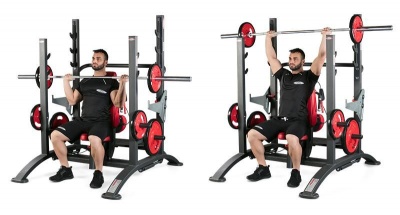 Силовая башня (3-в-1) Panatta 1HP233 | sportres.ru