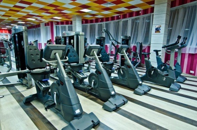 Профессиональный велотренажер Aerofit 9500R 7"LCD