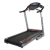 Беговая дорожка BH FITNESS PIONEER R5 Беговая дорожка BH FITNESS PIONEER R5