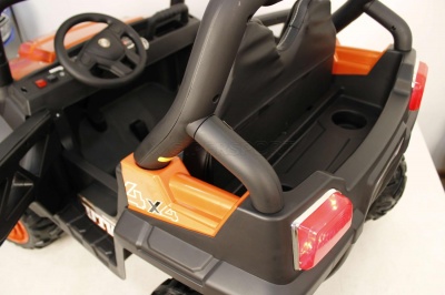 Электромобиль RiverToys BUGGY О333ОО (4*4)