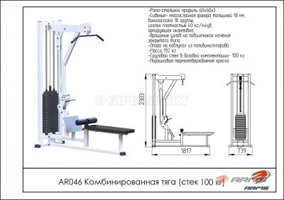 Грузоблочный тренажер Комбинированная тяга стек 100 кг ARMS AR046