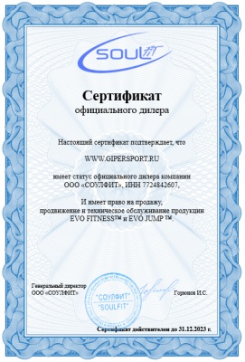 Беговая дорожка EVO FITNESS Omega (c углом наклона)