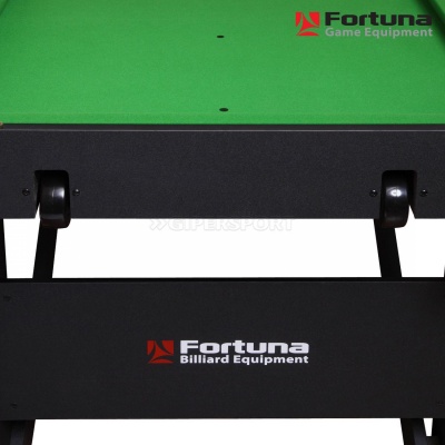 БИЛЬЯРДНЫЙ СТОЛ FORTUNA HOBBY BF-530S CНУКЕР 5ФТ С КОМПЛЕКТОМ АКСЕССУАРОВ