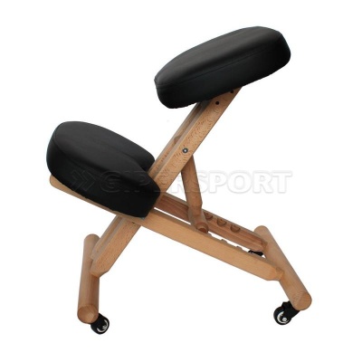 Ортопедический стул GESS-810 Vertebra Pro