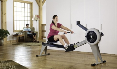 Гребной тренажер (серый) Concept2 RowErg Tall (E) | sportres.ru