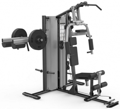 3-х позиционная станция «MEXICO» Fitex Pro FTX-5203 | sportres.ru