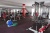 Стойка для олимпийских дисков Impulse IFPTO | sportres.ru