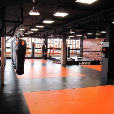 Татами Econom 100х200х4см Fighttech TE