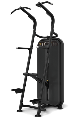 Гравитрон (подтягивания и отжимания), стек 100 кг. Vision Fitness VST600-S601 | sportres.ru