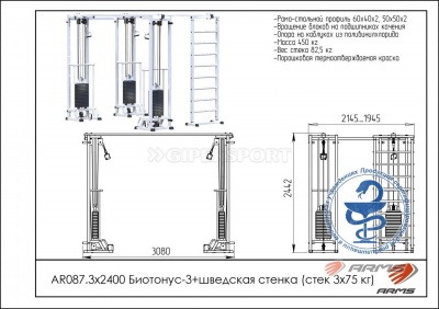 Грузоблочный тренажер Биотонус-3+шведская стенка стек 3 х 75 кг ARMS AR087.3х2400