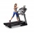 Беговая дорожка NordicTrack Commercial 2450 Беговая дорожка NordicTrack Commercial 2450