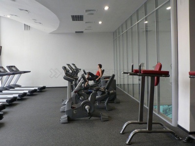 Вертикальный велотренажер Aerofit 9900B 10"LCD