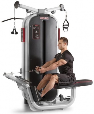 Jungle machine 4-в-1 Мультистанция Panatta 1MTH115 | sportres.ru
