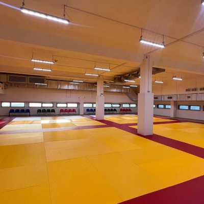 Татами JUDO 100х200х4см Fighttech TJ