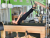 Стол трапеция кадиллак Pilates Plus TT | sportres.ru