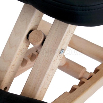Ортопедический стул GESS-810 Vertebra Pro