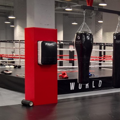Классическая FightTech подушка ПВХ WB4
