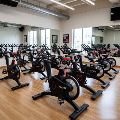 Скоростной велотренажер Fitex PREMIER PROF-M | sportres.ru