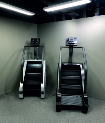 Степпер лестничного типа UltraGym UG-PS 001