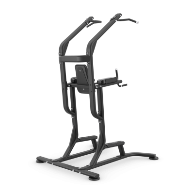 Турник-пресс-брусья Vision Fitness VST700-FW63 | sportres.ru