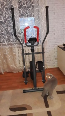 Эллипсоид Body Sculpture BE-1720