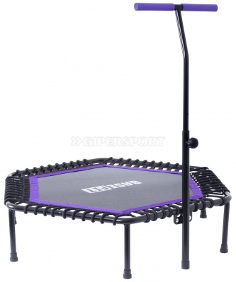 Батут Basefit TR-401 101 см с держателем