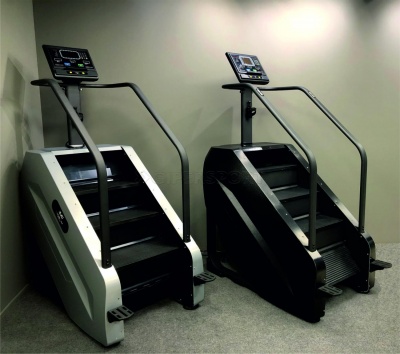 Степпер лестничного типа UltraGym UG-PS 001