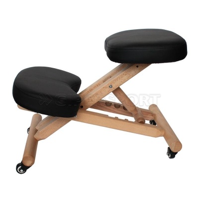 Ортопедический стул GESS-810 Vertebra Pro