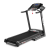 Беговая дорожка BH FITNESS PIONEER R2