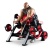 Бицепс (независимый) Panatta 1FW251 Бицепс (независимый) Panatta 1FW251 | sportres.ru