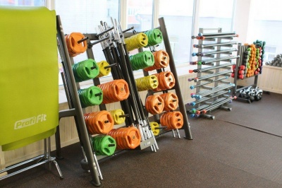 Штанга для аэробики Profi-Fit 20090, обрезиненные диски (1,25 кг; 2,5 кг; 5 кг) по 2шт | sportres.ru