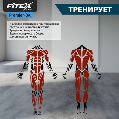 АэроБайк Fitex PRO PREMIER-8A PROF | sportres.ru
