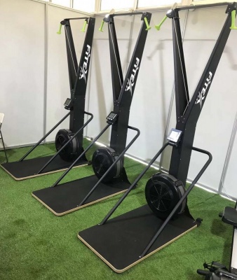Лыжный тренажер Fitex PREMIER-10 PROF | sportres.ru