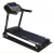 Беговая дорожка EVO FITNESS Titan II Беговая дорожка EVO FITNESS Titan II