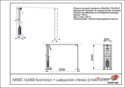Грузоблочный тренажер Биотонус + шведская стенка стек 100 кг ARMS AR087.1х2400