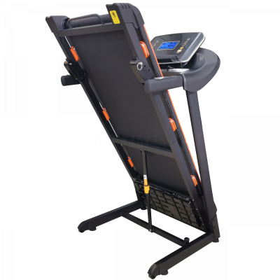 Беговая дорожка Royal Fitness RF-6