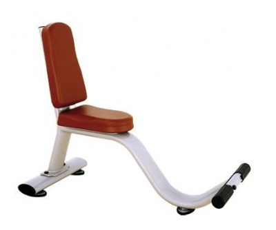 Скамья-стул BRONZE GYM H-038