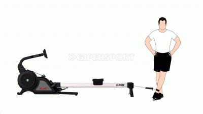 Лыжно-Гребной тренажер Aerofit XROW