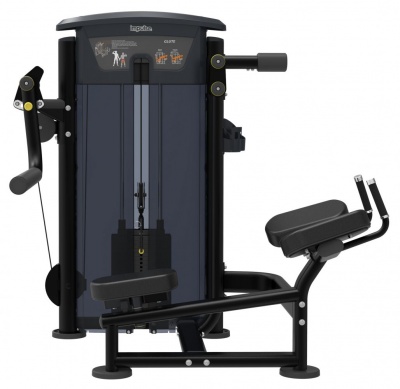 Ягодичные Impulse IT9526 | sportres.ru