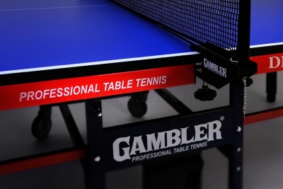 Теннисный стол Gambler DRAGON синий