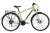 Велосипед Dewolf Asphalt S