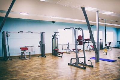 Поднятие коленей/турник/брусья Impulse IFPT | sportres.ru