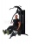 Мультистанция HG7000 PRESS GYM