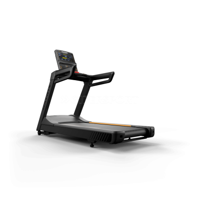 Беговая дорожка Matrix Endurance Premium LED (2020)