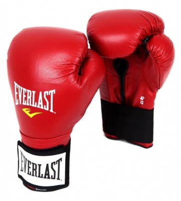 Перчатки тренировочные на липучке Everlast 14oz красный