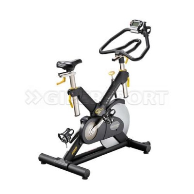 Сайкл-тренажер HOIST LeMond Revmaster Pro