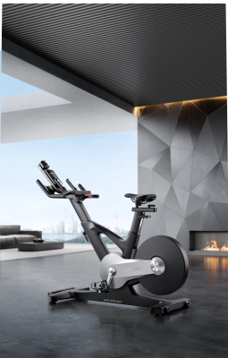 Спинбайк XENJOY CS531 | sportres.ru