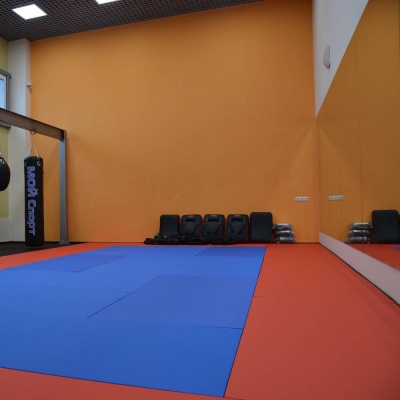 Татами JUDO 100х200х4см Fighttech TJ