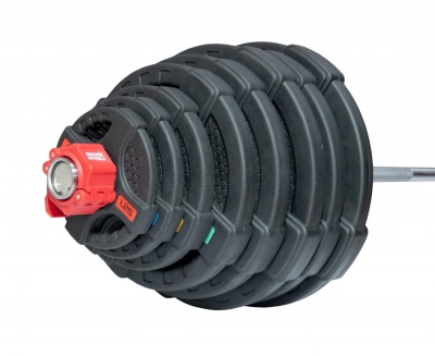 Штанга олимпийская OriginalFitTools 218 кг (диски с двумя хватами)